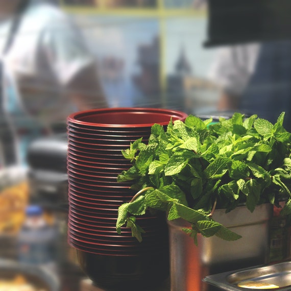 image of mint leaves from kitchen garden