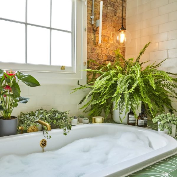 a healthy boston fern in bathroom