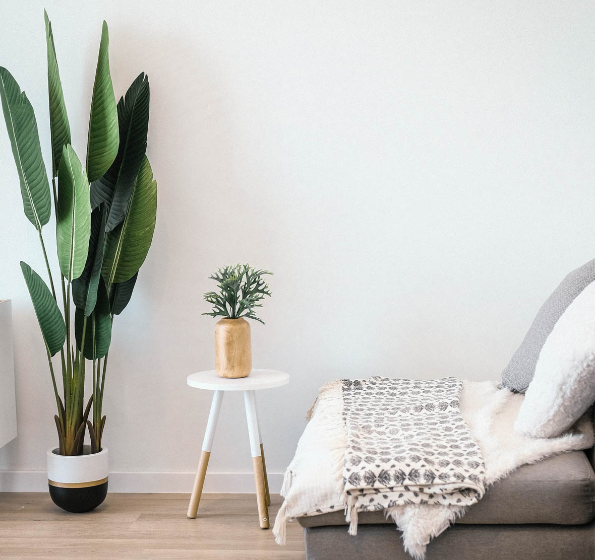 The Best Plants For Your Bedroom - Botanic Lush Indoor Plants Delivery