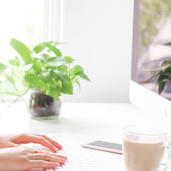 plants on desktop